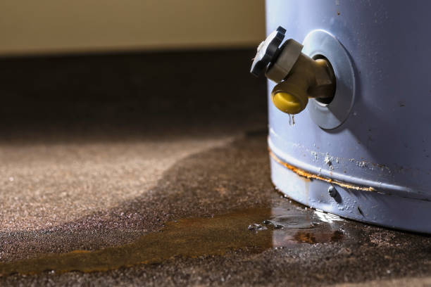 Best Basement water damage restoration  in Grover Beach, CA