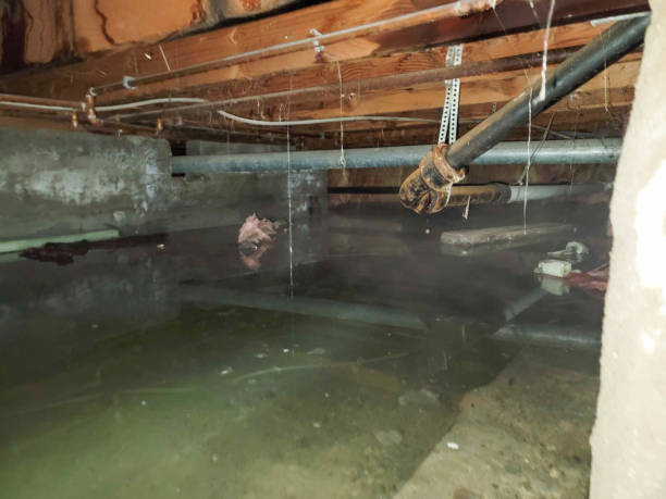 Best 24-hour water damage restoration  in Grover Beach, CA