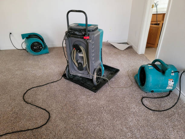  Grover Beach, CA Water damage restoration Pros