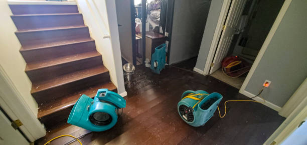 Best Water damage contractors near me  in Grover Beach, CA