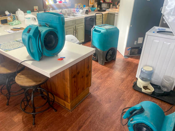 Best Ceiling water damage repair  in Grover Beach, CA
