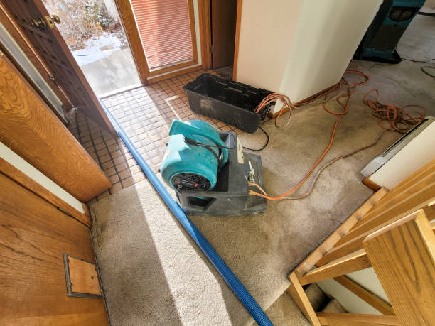  Grover Beach, CA Water damage restoration Pros