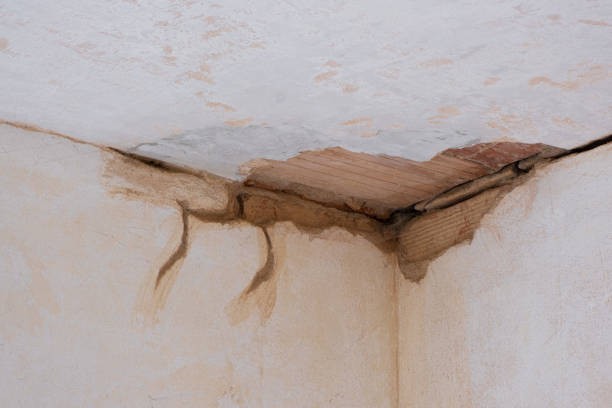 Best Water damage cleanup near me  in Grover Beach, CA
