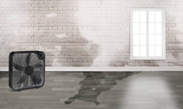 Best Carpet water damage restoration  in Grover Beach, CA