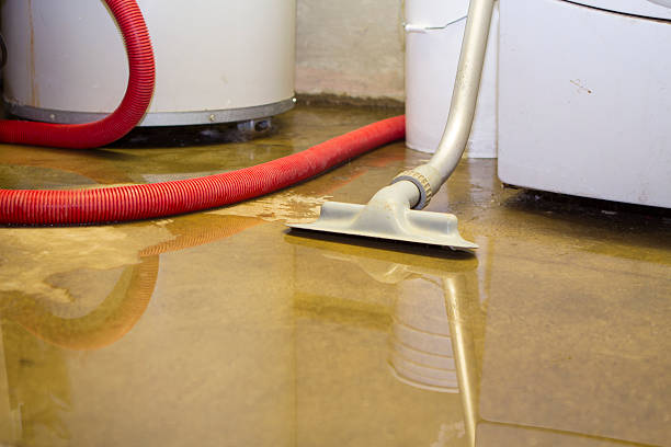 Best Water damage contractors near me  in Grover Beach, CA