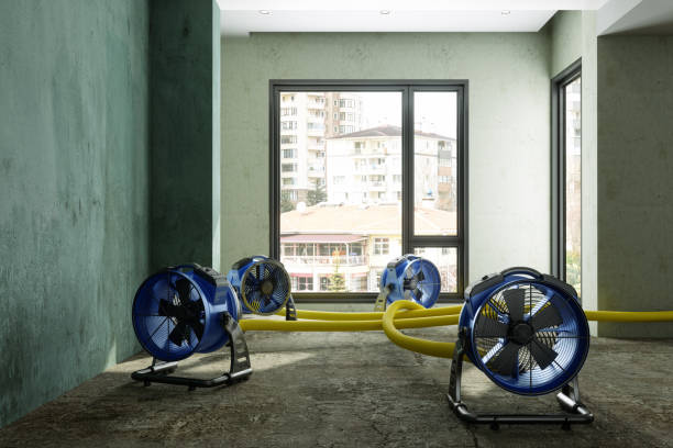 Best Mold removal after water damage  in Grover Beach, CA