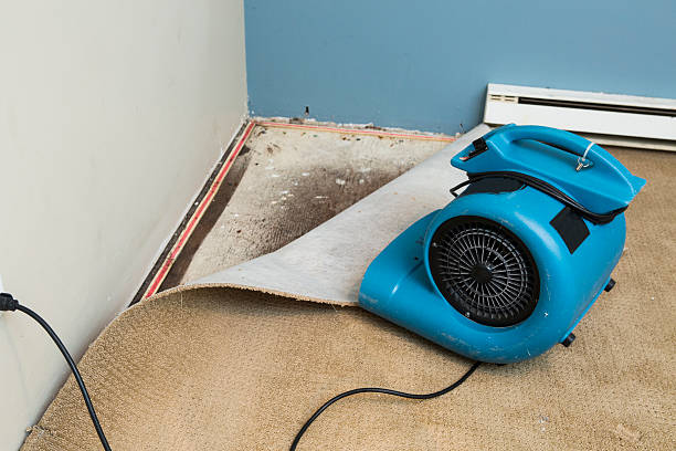 Best Flood damage cleanup  in Grover Beach, CA